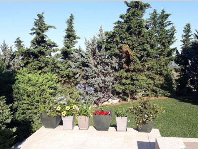 Villa Corina Near The Airport Kouvaras Екстер'єр фото